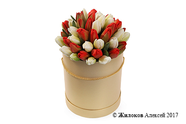 ����� 51 ����������� ������� � ������� ������� �������, ������-����� ����