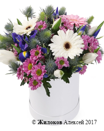 ����� ���������� ����� � ������� �������