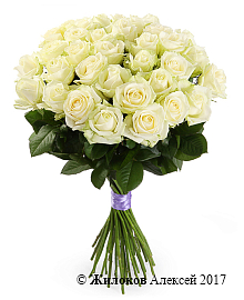 ����� 35 ��� ������� 60/70 ��