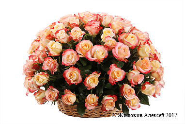 ����� 101 ���� ������ � �������