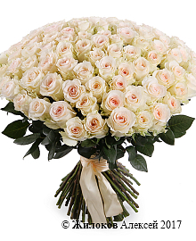 ����� 101 ���� ���������