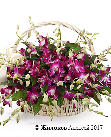 ���������� � ��������� ������ ������ � �������