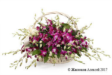 ���������� � ��������� ������ ������ � �������