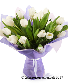 ����� 25 ���������, �����