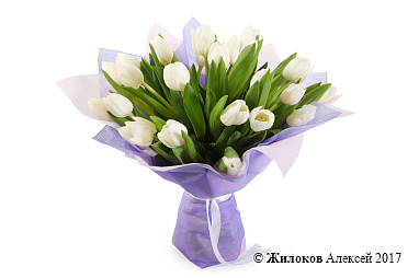 ����� 25 ���������, �����