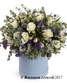 ����� ������ ������ � ������� �������