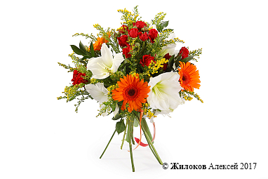 ����� ������� �������