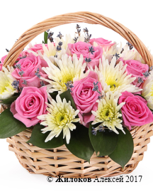 ����� ������ � ��������