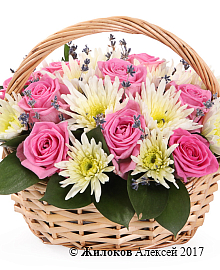 ����� ������ � ��������