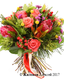 ����� ����