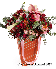 ����� ������� ������� � �������