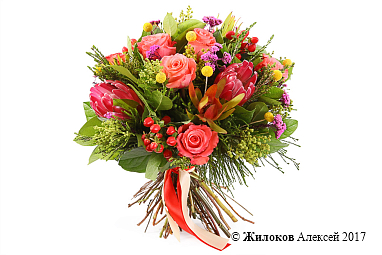 ����� ����