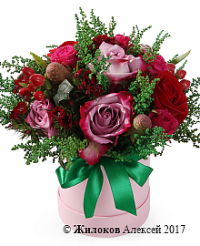 ����� ������ ����� � ������� �������