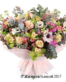 ����� ������� ������