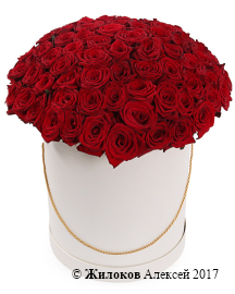 ����� 101 ������� ���� � ������� �������