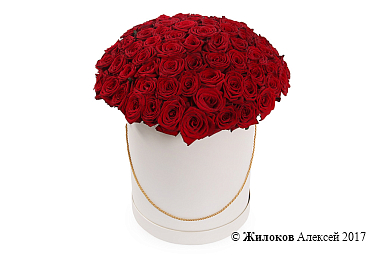 ����� 101 ������� ���� � ������� �������