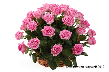 ����� 35 ��� ���� � �������