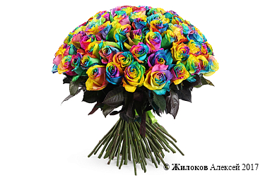 ����� 101 �������� ����