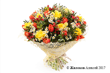 ����� ��� ������ �������