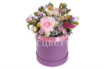 ����� ������������ ����������� � ������� �������