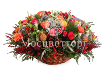 ����� ���� ������� � �������