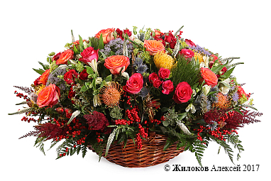 ����� ���� ������� � �������