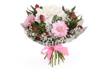 ����� ���� ����������