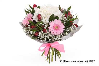 ����� ���� ����������