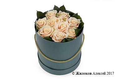 ����� 9 ��� ����� � ������� �������