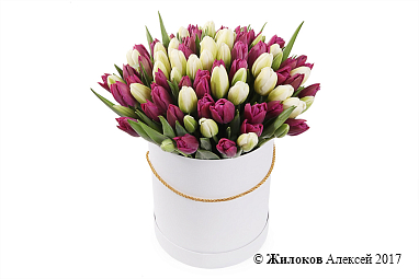 ����� 101 ����������� ������� � ����� ������� �������, ����-��������� ����