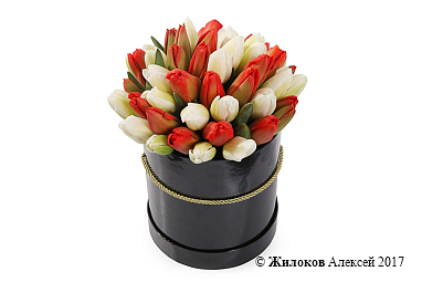 ����� 51 ����������� ������� � ������� �������, ������-����� ����