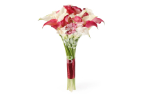 ����� �� ���� �������