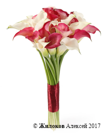 ����� �� ���� �������