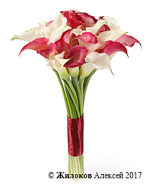 ����� �� ���� �������