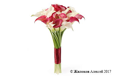 ����� �� ���� �������