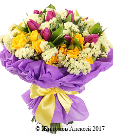 ����� ������� ����