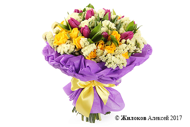 ����� ������� ����