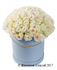 ����� 101 ���� ���� �'���� � ������� �������