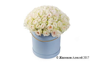 ����� 101 ���� ���� �'���� � ������� �������