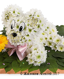 ���������� ������