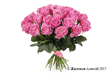 ����� 35 ��� ����