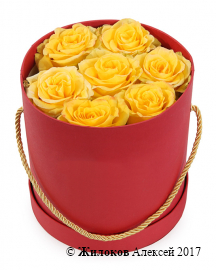 Букет 7 роз Хай Еллоу в шляпной коробке (красная)