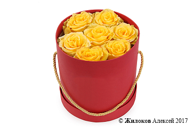 ����� 7 ��� ��� ����� � ������� ������� (�������)