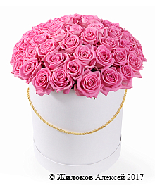 ����� 51 ���� ���� � ������� �������