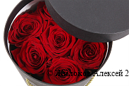 Букет 7 роз в шляпной коробке (черная)