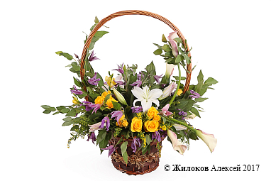 ����� ���� ����� � �������