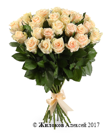 ����� 25 ��� �����