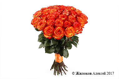 ����� 35 ��� ��� ������