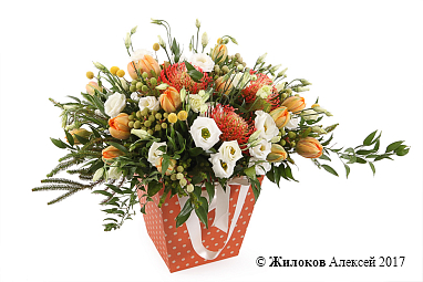 ����� �������� ����