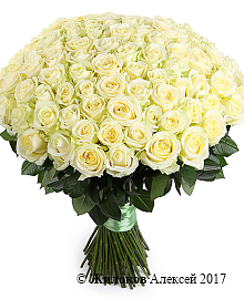 ����� 101 ���� ������� 60/70 ��